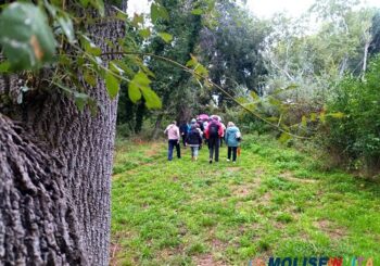 Primo convegno itinerante nel bosco